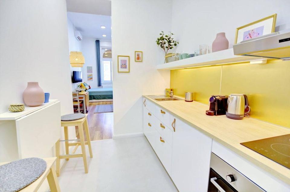 Pau Stylish Studios In The Heart Of 布达佩斯 外观 照片